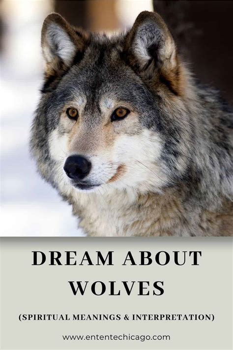 The Snow Wolf: A Biblical Dream Interpretation